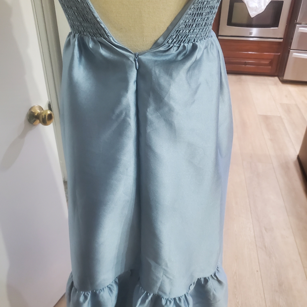 Petal & Pup Blue Maxi Dress - Picture 9 of 10
